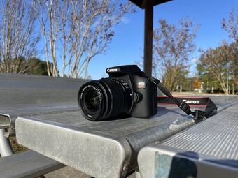 The Canon EOS Rebel T7 (2000D) Sitting on a Park Bench