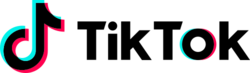 TikTok logo.svg