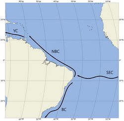Low-latitude western boundary currents in Atlantic. The South Equatorial Current crosses the Atlantic at a latitude of 10 degrees South. On reaching Brazil, it splits into two: the southern branch goes along the Brazilian coast as the Brazil Current. The northern branch, or North Brazil Current, goes along the North Brazil coast, past Guyana, Surinam, and Venezuela. It stops just before the Caribbean. The current enters the Caribbean as the Yucatan Current, which goes along the south of the Caribbean Sea.