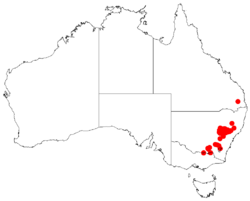 Acacia linearifoliaDistMap541.png