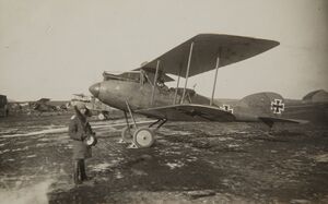 Albatros C.XII.jpg
