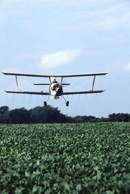 Biplane, US field, cropdusting