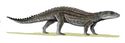 Comahuesuchus BW.jpg