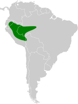 Conopophaga peruviana map.svg