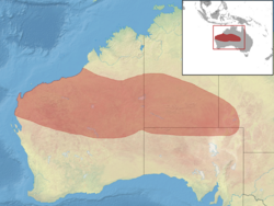 Ctenotus helenae distribution.png