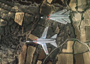 Dassault Mirage G8.jpg
