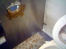Glory hole in washroom (155966507).jpg