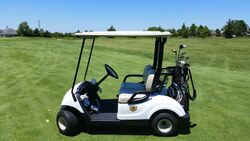 Small two-seater four-wheeled open-sided vehicle with a canopy and steering wheel with a bag of golf clubs mounted to the back.