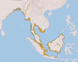 Irrawaddy dolphin range.png