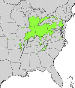 Malus coronaria range map.jpg