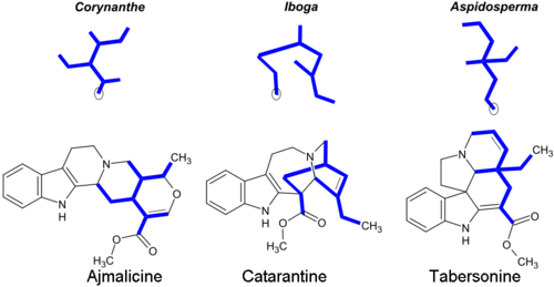 Monoterpenoid indole alkaloids 1.png