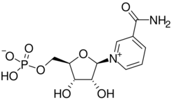 Nicotinamide mononucleotide.svg