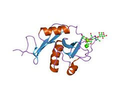 PDB 1sl5 EBI.jpg