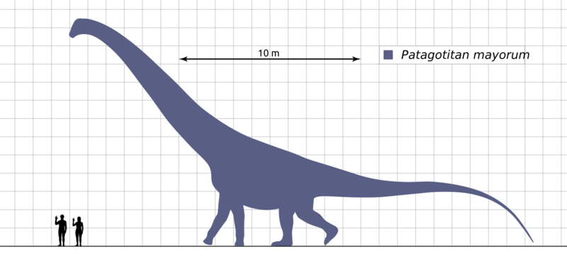 File:Patagotitan-Scale-Diagram-Steveoc86.svg