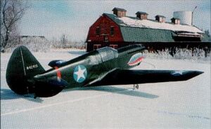 Rowley P-40F N42915.JPG