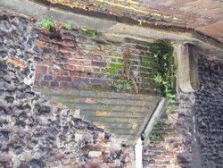 Water-Table behind the Ethelbert Gate, Norwich (closeup).jpg