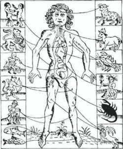 Man surrounded by signs of the zodiac, lines pointing to different body parts and organs