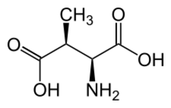 3-Methylaspartic acid.svg