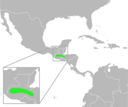 Bufo ibarri distribution.svg