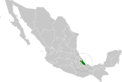 Campylorhynchus rufinucha map.svg