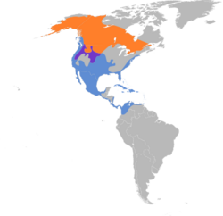 Mareca americana map.svg