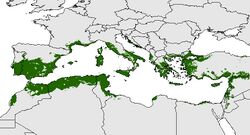Map of the distribution of cultivation in the Mediterranean Basin