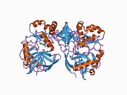 PDB 1ckm EBI.jpg