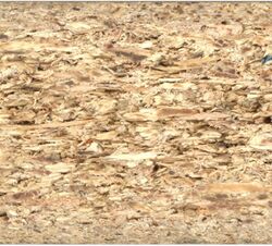 Particle board-cross section scan.jpg