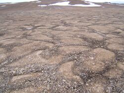 Patterned ground devon island.jpg