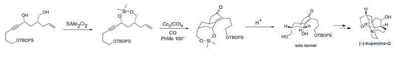 Pauson-Khand reaction in synthesis of huperzine-Q.jpg
