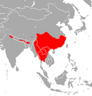 In Bangladesh, Bhutan, China, India, Laos, Malaysia, Myanmar, Nepal, Thailand, and Vietnam