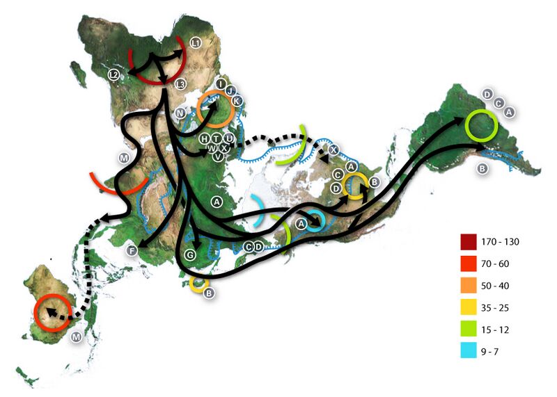 File:World map of prehistoric human migrations.jpg