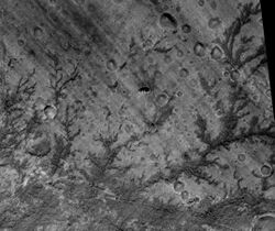 Antoniadi Crater Stream Channels.JPG