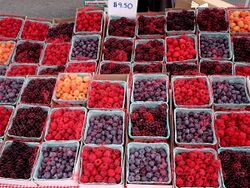 Berries.jpg