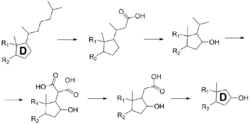 Biosynthesis intermediates of samandarin.png