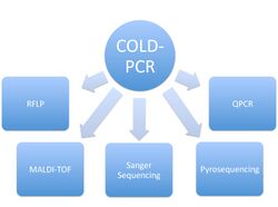 Some of the downstream applications for COLD-PCR.