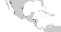 Dioon Distribution.png