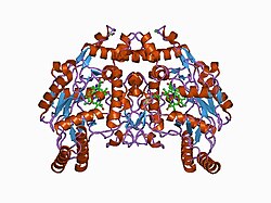 PDB 1d1v EBI.jpg