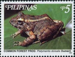 Platymantis dorsalis 1999 stamp of the Philippines.jpg