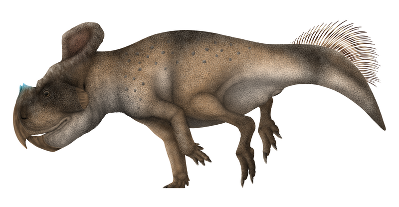 File:Protoceratops hellenikorhinus Restoration.png