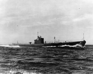 USS Salmon