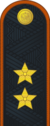 Генерал-лейтенант МЧС2.png