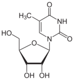 Skeletal formula of 5-methyluridine