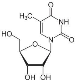 5-Methyluridin.svg