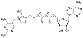 Adenosine Thiamine pyrophosphate.svg