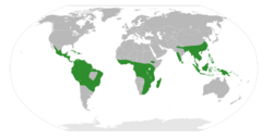 Begonia Distribution Map.svg