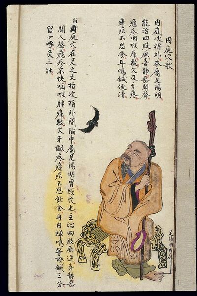 File:C19 Chinese MS moxibustion point chart; Neiting Wellcome L0039489.jpg
