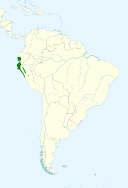 Campylorhynchus fasciatus map.svg
