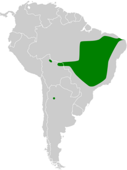 Charitospiza eucosma map.svg