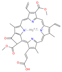 Chlorophyll c3.svg